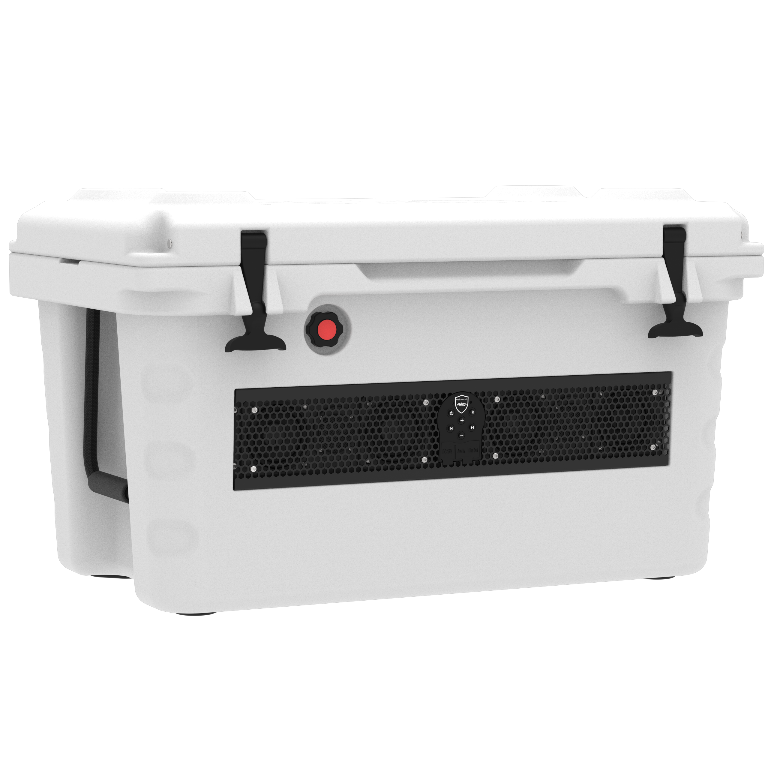 Party Cooler with Speakers