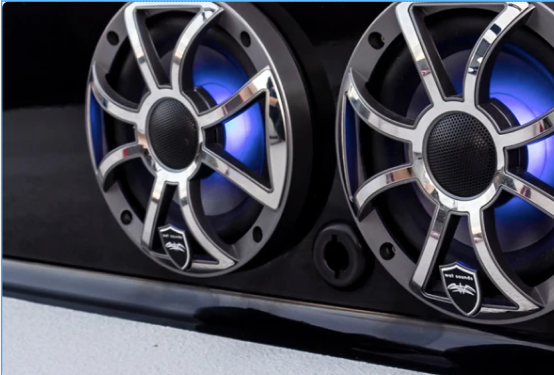 Load video: Often referred to as "full-range speakers," are a type of loudspeaker design ...