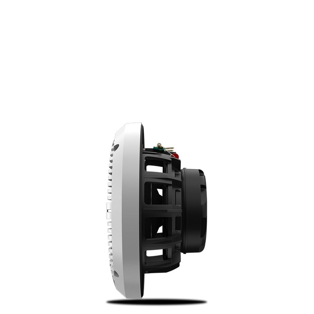 RECON 6.5